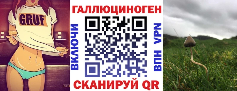 Галлюциногенные грибы ЛСД Кудрово